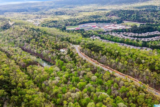 712 HICKORY HOLLOW, Chelsea, AL 35043