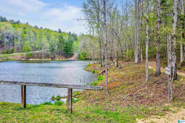 712 HICKORY HOLLOW, Chelsea, AL 35043