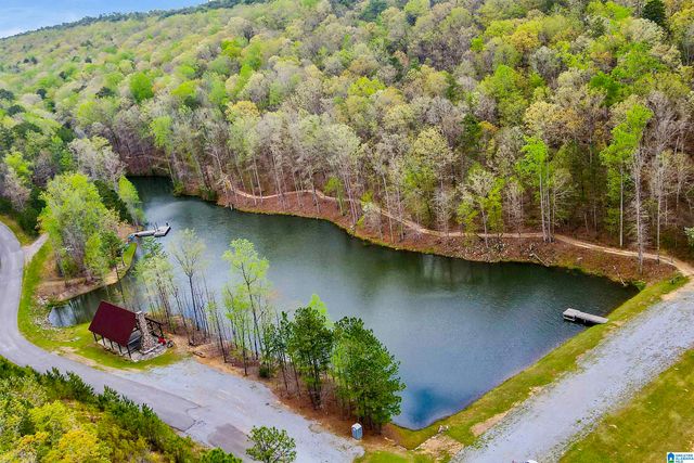 712 HICKORY HOLLOW, Chelsea, AL 35043