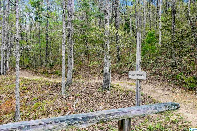 712 HICKORY HOLLOW, Chelsea, AL 35043