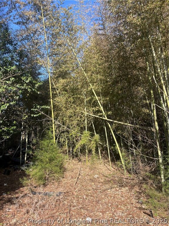 4636 Bragg Boulevard, Fayetteville, NC 28303 — photo 20