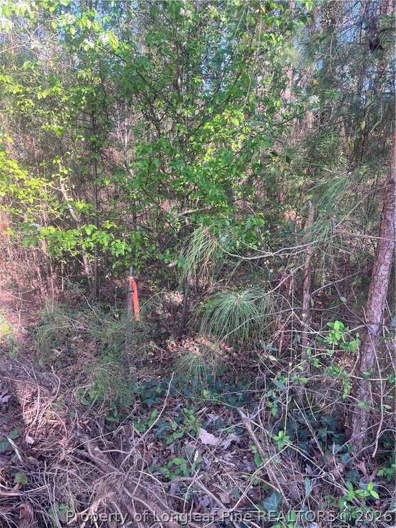4636 Bragg Boulevard, Fayetteville, NC 28303 — photo 21
