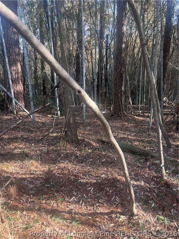 4636 Bragg Boulevard, Fayetteville, NC 28303 — photo 22
