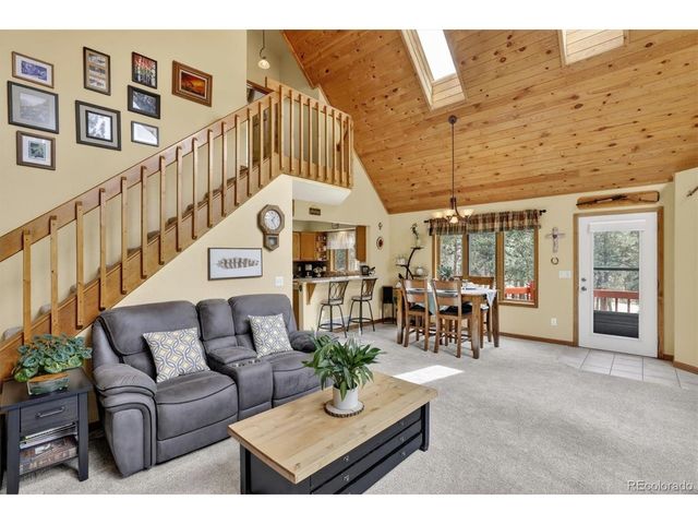 599 Vigilante Ave, Bailey, CO 80421
