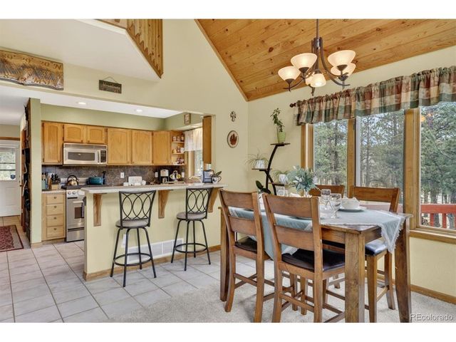 599 Vigilante Ave, Bailey, CO 80421