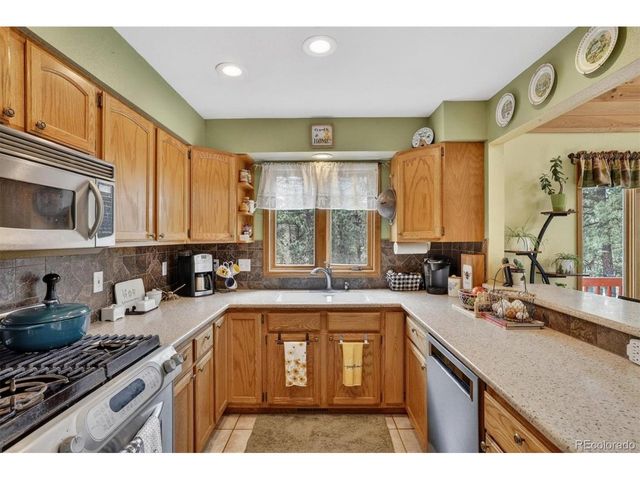 599 Vigilante Ave, Bailey, CO 80421
