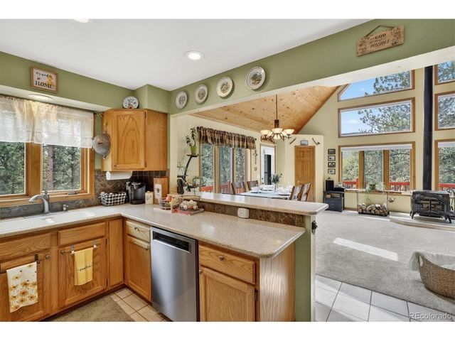 599 Vigilante Ave, Bailey, CO 80421