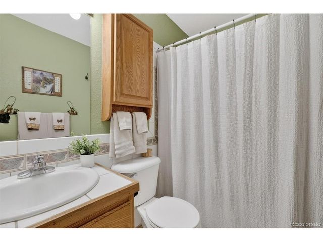 599 Vigilante Ave, Bailey, CO 80421