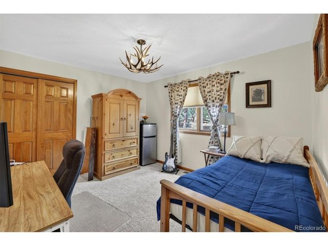 599 Vigilante Ave, Bailey, CO 80421