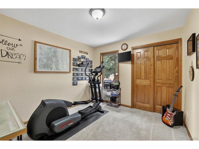 599 Vigilante Ave, Bailey, CO 80421