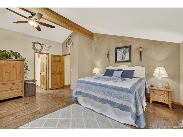 599 Vigilante Ave, Bailey, CO 80421