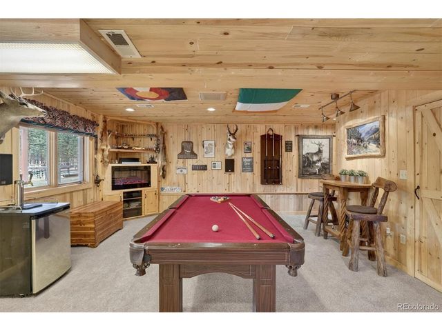 599 Vigilante Ave, Bailey, CO 80421