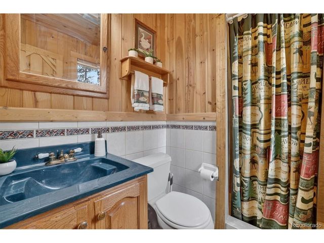599 Vigilante Ave, Bailey, CO 80421
