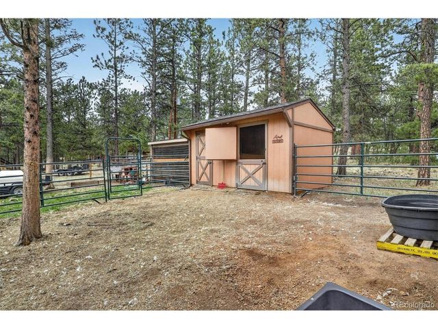 599 Vigilante Ave, Bailey, CO 80421