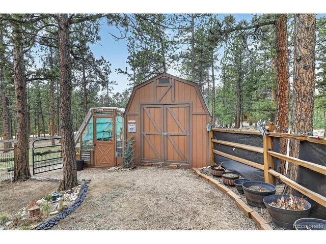 599 Vigilante Ave, Bailey, CO 80421
