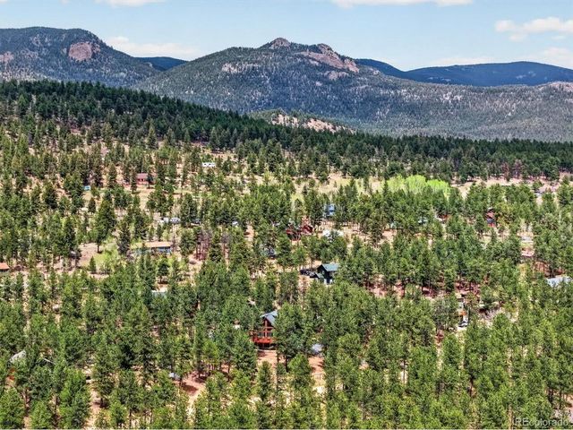 599 Vigilante Ave, Bailey, CO 80421