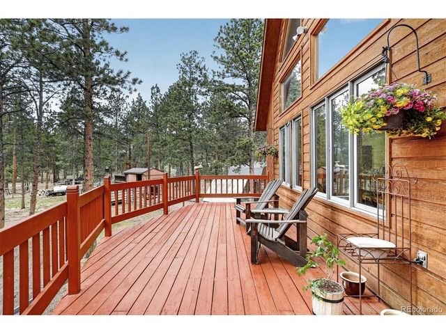 599 Vigilante Ave, Bailey, CO 80421