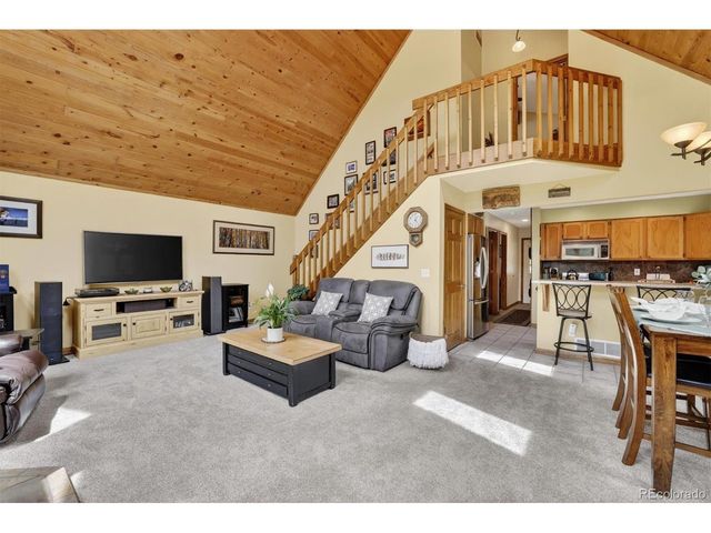 599 Vigilante Ave, Bailey, CO 80421