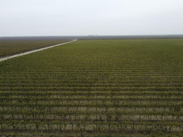 15765 Dickenson Avenue, Riverdale, CA 93656