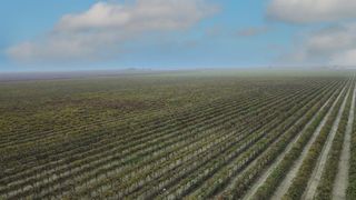 15765 Dickenson Avenue, Riverdale, CA 93656