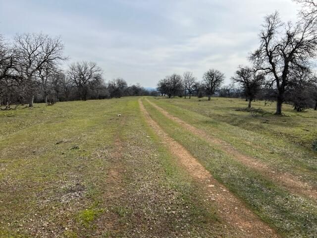 LOT 13 Castlewood Lane, Cottonwood, CA 96022