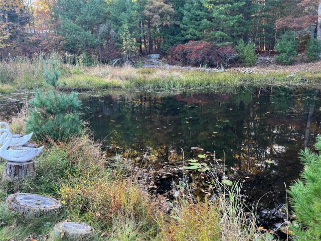 273 Blind Pond Road, Narrowsburg, NY 12764
