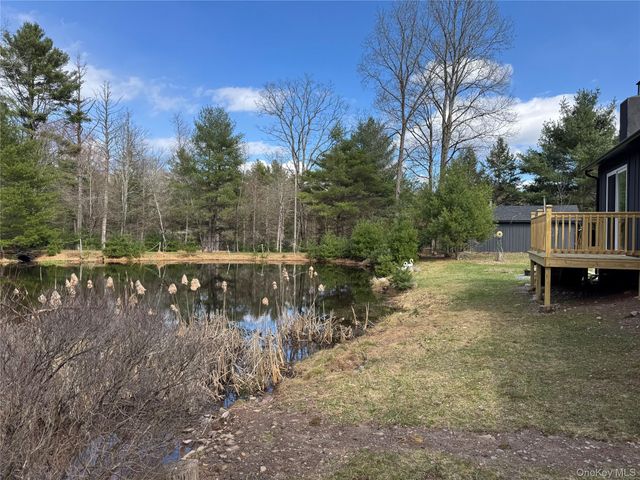 273 Blind Pond Road, Narrowsburg, NY 12764