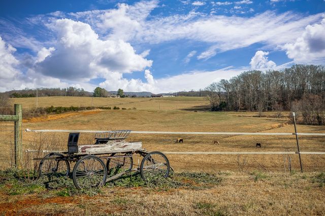 620 Roberts Cemetery Rd, Walling, TN 38587