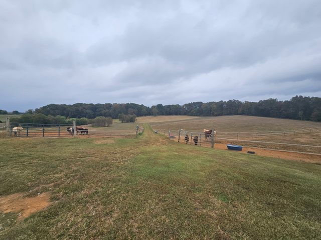 620 Roberts Cemetery Rd, Walling, TN 38587