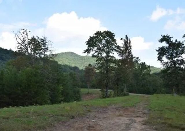 313 Golden Eagle Circle, Turtletown, TN 37391