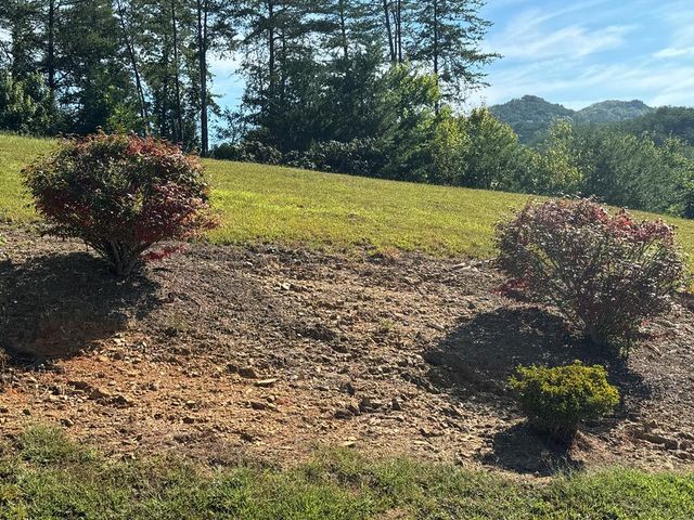313 Golden Eagle Circle, Turtletown, TN 37391