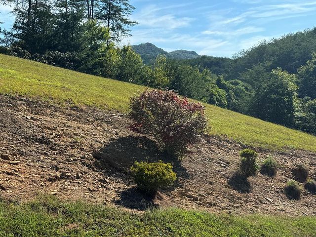 313 Golden Eagle Circle, Turtletown, TN 37391