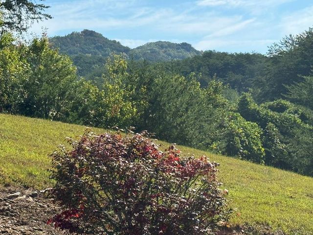313 Golden Eagle Circle, Turtletown, TN 37391