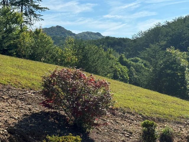 313 Golden Eagle Circle, Turtletown, TN 37391