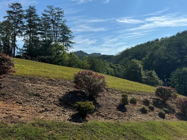 313 Golden Eagle Circle, Turtletown, TN 37391