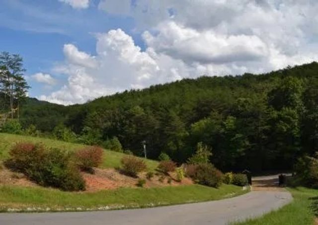 313 Golden Eagle Circle, Turtletown, TN 37391