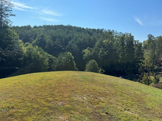 313 Golden Eagle Circle, Turtletown, TN 37391