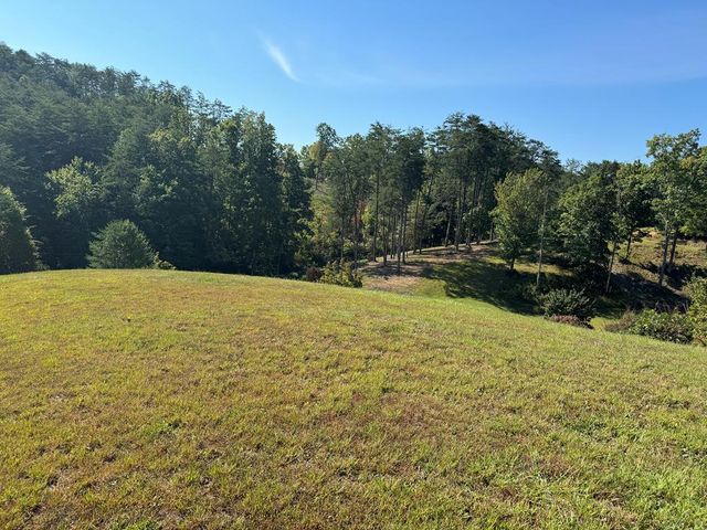 313 Golden Eagle Circle, Turtletown, TN 37391