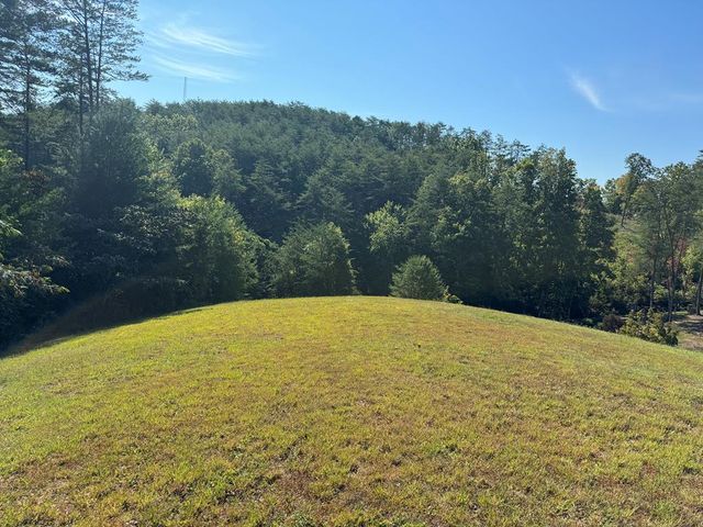 313 Golden Eagle Circle, Turtletown, TN 37391
