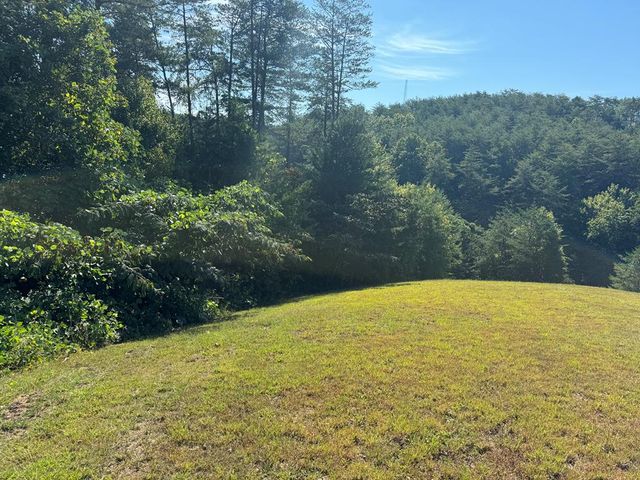 313 Golden Eagle Circle, Turtletown, TN 37391