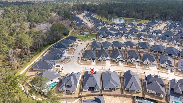 15208 Tree Swallow Court, Magnolia, TX 77354