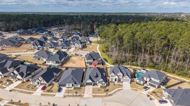 15208 Tree Swallow Court, Magnolia, TX 77354