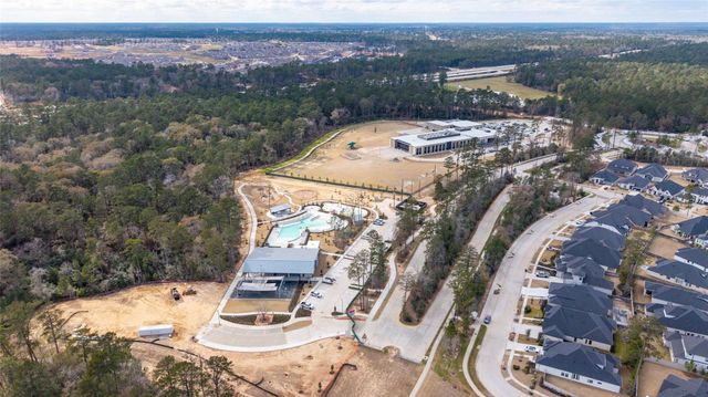 15208 Tree Swallow Court, Magnolia, TX 77354