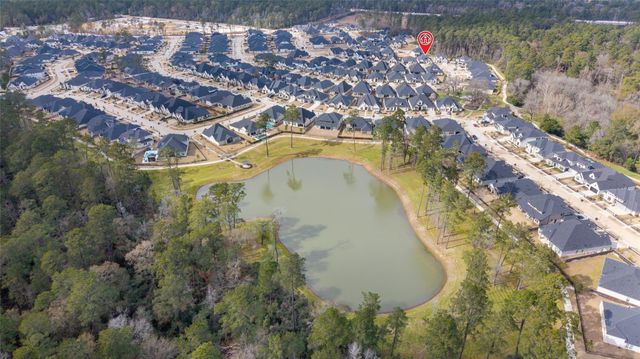 15208 Tree Swallow Court, Magnolia, TX 77354