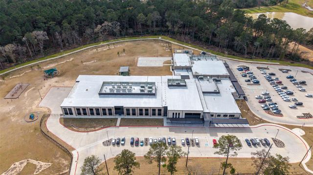 15208 Tree Swallow Court, Magnolia, TX 77354