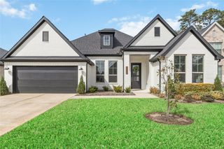 15208 Tree Swallow Court, Magnolia, TX 77354