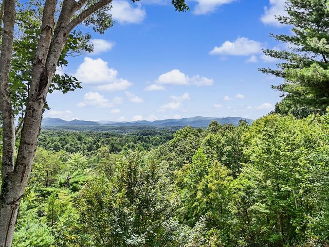 1259 My Mountain Road, Morganton, GA 30560