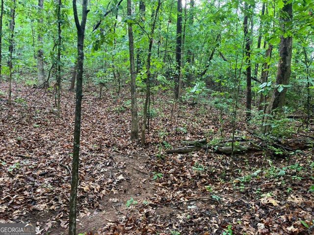 0 Lake Club Drive, Lavonia, GA 30553