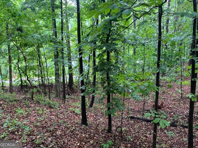 0 Lake Club Drive, Lavonia, GA 30553