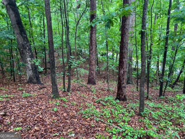 0 Lake Club Drive, Lavonia, GA 30553